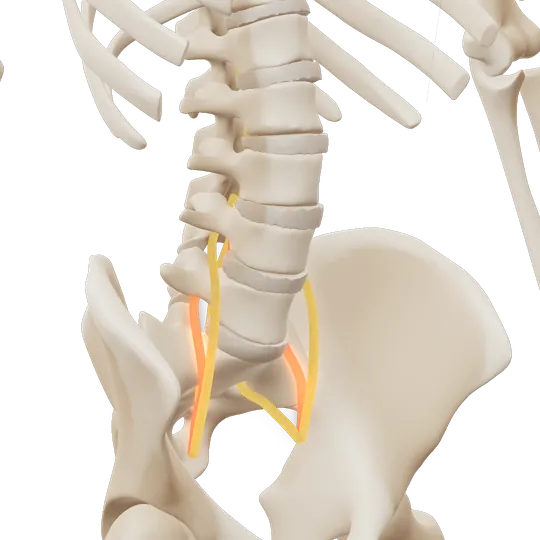 3D-illustrasjon: L5-roten